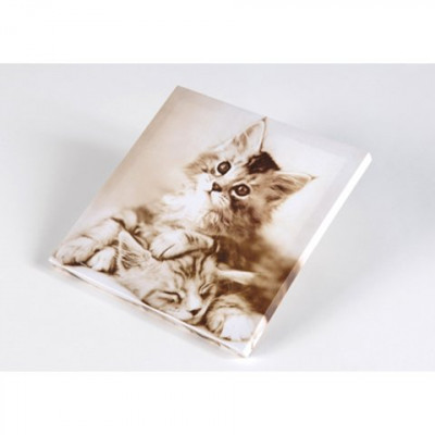 Toile Chat Tableau Decoration Murale Decoration Batir Moins Cher Toile Chat Tableau Decoration Murale Decoration Batir Moins Cher