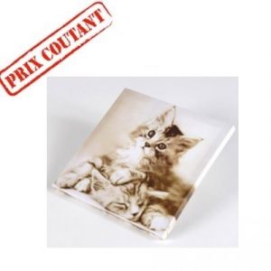 Toile chat