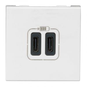  Chargeur 2 USB Type-C 3A 15W Mosaic 2 modules 230V ou 5V= - blanc