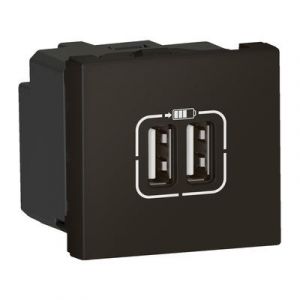 Chargeur 2 USB Type-A 2,4A 12W Mosaic 2 modules 230V ou 5V= - noir mat  079194L  Legrand