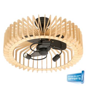 Ventilateur de plafond avec éclairage, gamme Lunava référence 112443 de FARELEK.
