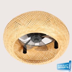 Ventilateur de plafond avec éclairage, série Canisséa référence 112449 de FARELEK.