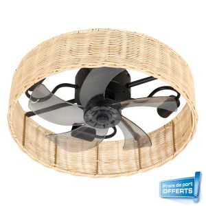 Ventilateur de plafond avec éclairage, Alyzia référence 112458 de FARELEK.