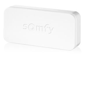 Détecteur de mouvement SOMFY intérieur pour Home Alarm - 2401490