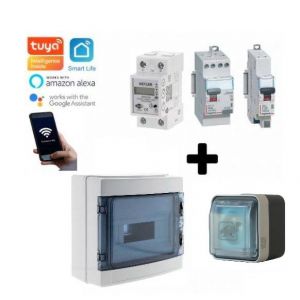 Kit de recharge pour véhicule électrique et hybride rechargeable. Composé d'une prise renforcée Witty 3,7 Kw (XEV080) IP55 de HAGER + un interrupteur différentiel 30mA 40A type A de Legrand + un disjoncteur magnéothermique 20A de la marque Legrand + un co