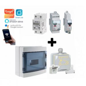 Le kit de recharge bmc-v-co-09 équipé et avec une prise green'up de la marque legrand