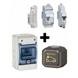 Kit recharge Green'Up Access + Compteur pour voiture électrique