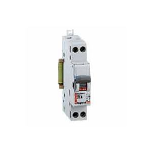 Interrupteur sectionneur bipolaire 16A - 406431 - Legrand