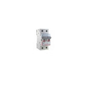 Interrupteur sectionneur bipolaire 40A Legrand 406440