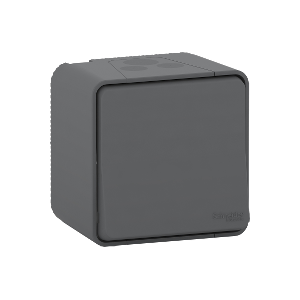 Poussoir complet saillie Mureva Style - Anthracite MUR35026 Schneider