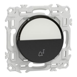 Bouton poussoir porte-étiquette S940246 Odace Schneider - Noir onyx