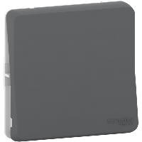 Va et vient Mureva Style - Anthracite - MUR37021 - Schneider