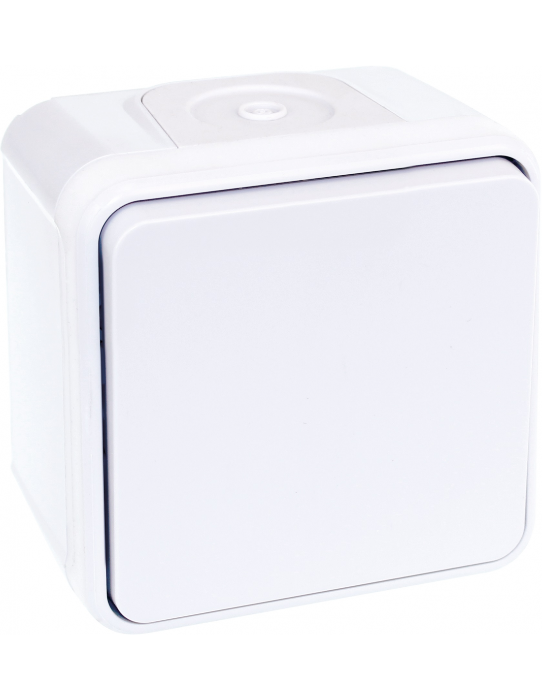  Bouton poussoir Plexo complet saillie - Blanc