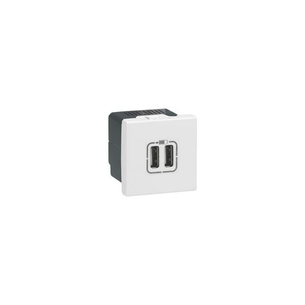 Prise chargeur USB 2 module - Blanc - Legrand - 077594