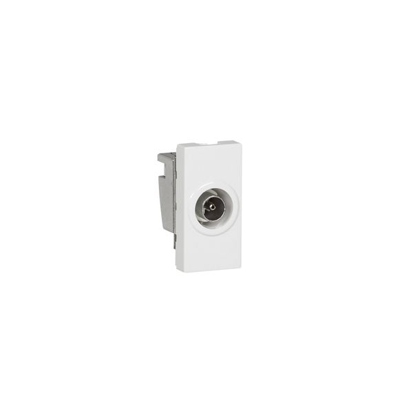 Prise TV simple mâle - 078793 - Legrand