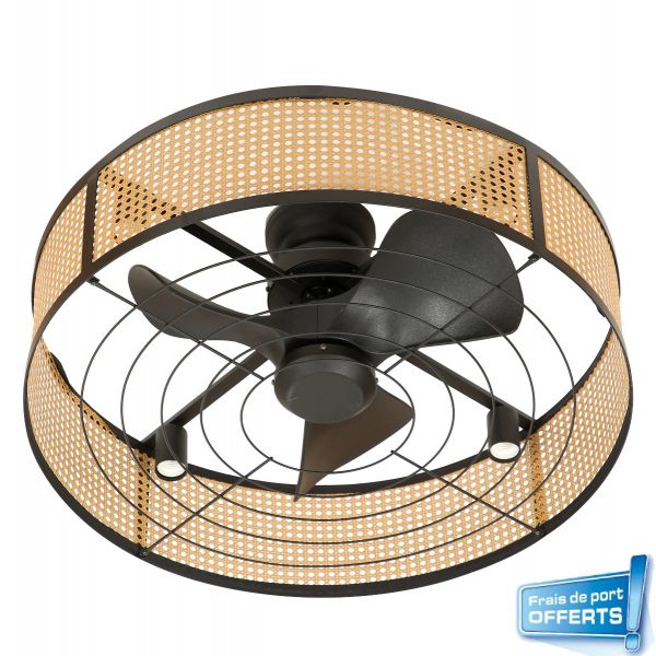 Ventilateur de plafond avec éclairage, série Solombra référence 112442 de FARELEK.