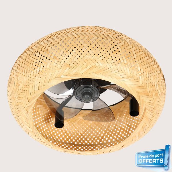 Ventilateur de plafond avec éclairage, série Canisséa référence 112449 de FARELEK.