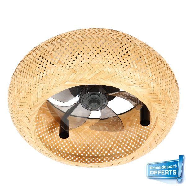 Ventilateur de plafond avec éclairage, série Canisséa référence 112449 de FARELEK.