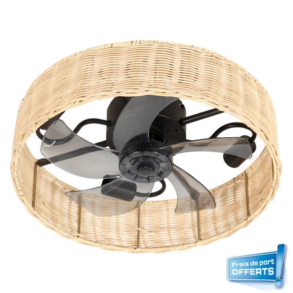 Ventilateur de plafond avec éclairage, Alyzia référence 112458 de FARELEK.