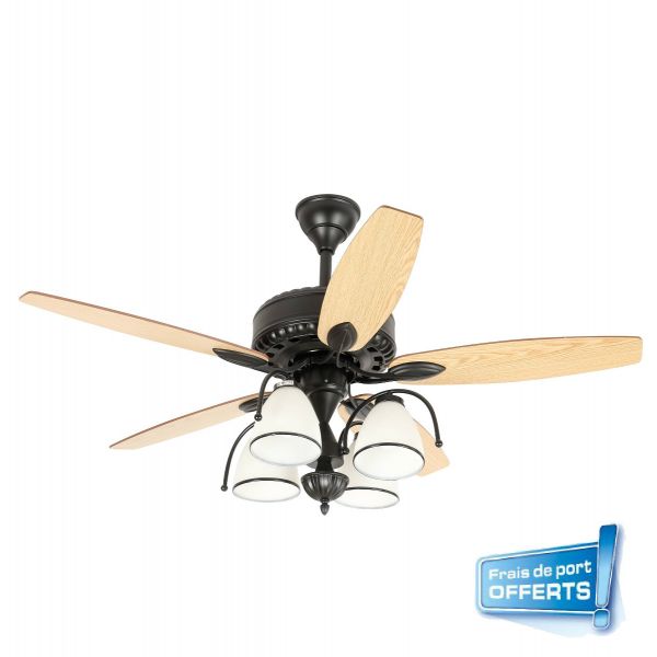 Ventilateur de plafond avec éclairage, Zéphora référence 112460 de marque FARELEK