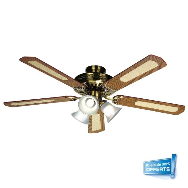 Ventilateur de plafond référence 112470 Farelek, sélecteur de vitesses, pales en MDF cannées noyer, éclairage tulipes E27. Kit de fixation pour tous les supports offert avec cheville Duopower, vis et cheville molly.