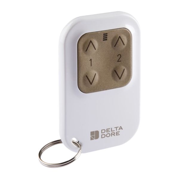 Télécommande porte-clé 2 voies éclairage ou volet roulant Tyxia 1400 Delta Dore 6351388
