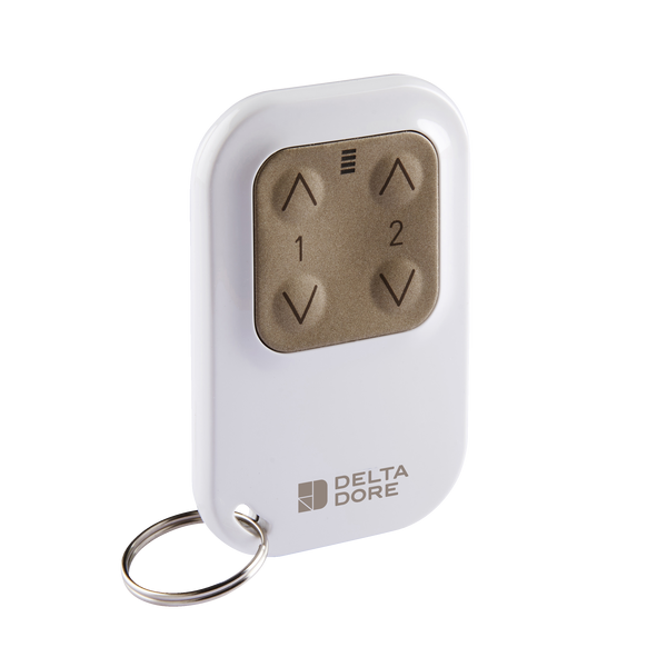 Télécommande 2 voies pour éclairage ou volets roulants - TYXIA 1400 delta dore