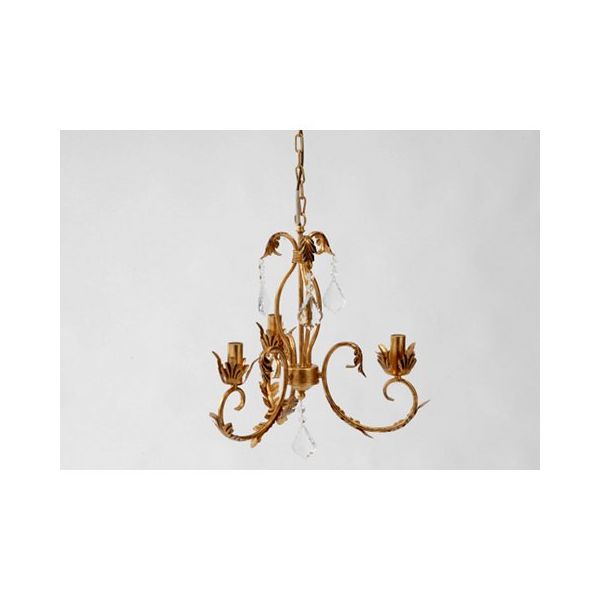 Lustre Acantor