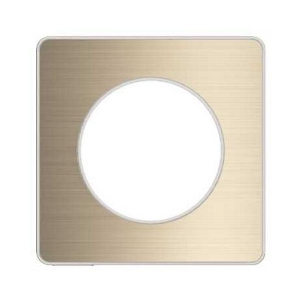 Plaque 1 poste Odace Touch - Bronze brossé S520802L Schneider