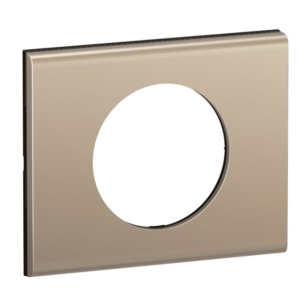 Plaque de finition Céliane 1 poste Collection Matière Brute finition Nickel Satiné référence CP2101 de la marque Legrand.