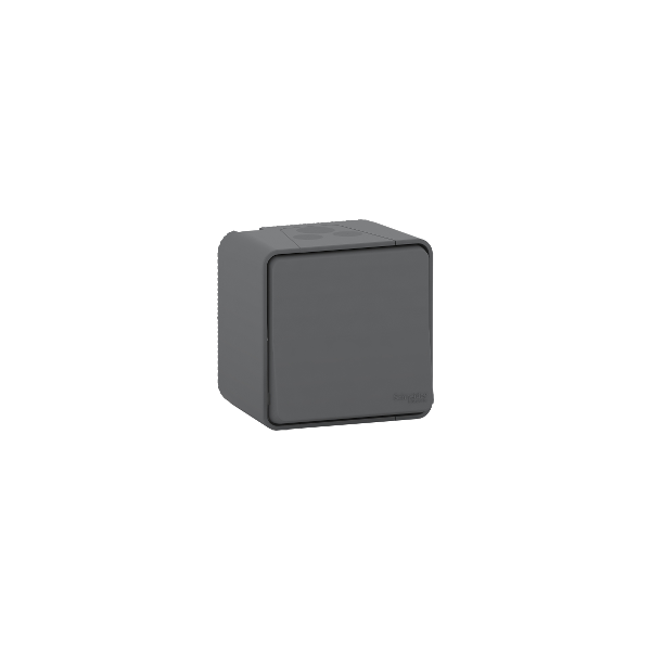 Va et vient complet saillie Mureva Style - Anthracite MUR35021 Schneider