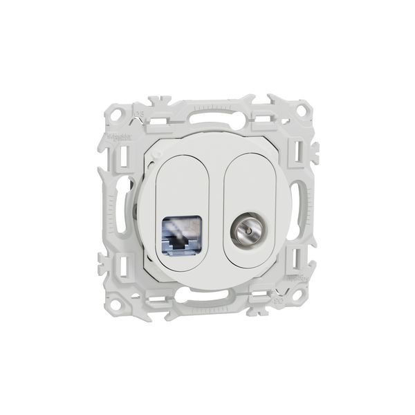 Prise mixte RJ45 Cat6 STP + TV S920141 Odace Schneider - Blanc Craie
