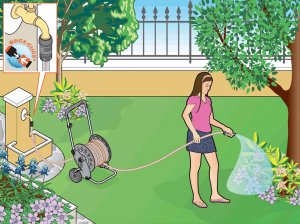 L&#039; entretien du jardin et ses outils...