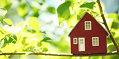 Je pense à la bonne santé de ma maison...